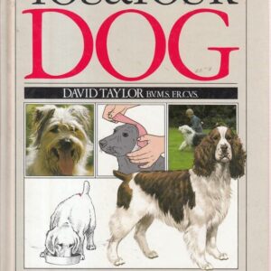 You & Your Dog