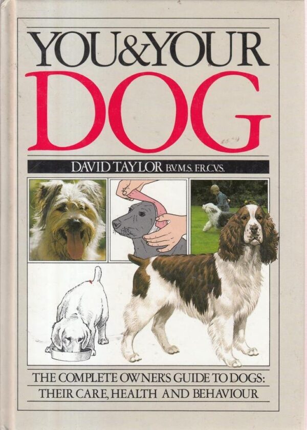You & Your Dog